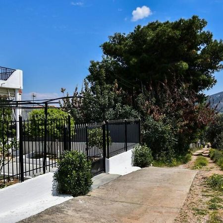 Μονοκατοικία Δίπλα Στην Θάλασσα Salamina Exterior photo